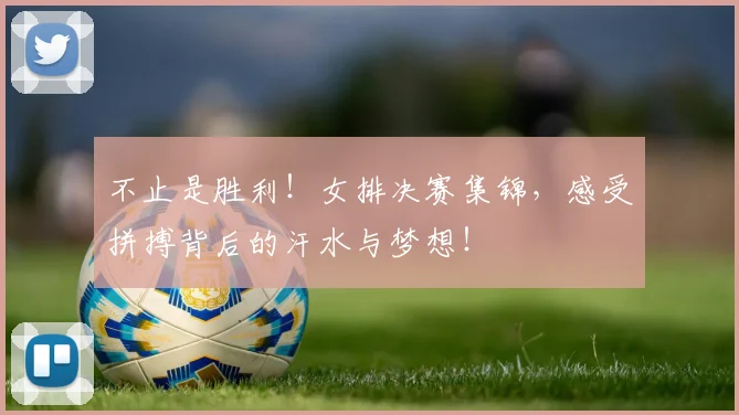不止是胜利！女排决赛集锦，感受拼搏背后的汗水与梦想！