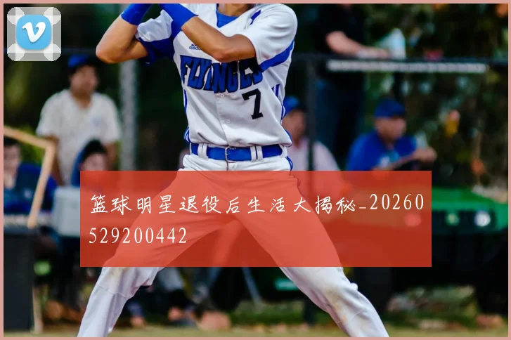 篮球明星退役后生活大揭秘_20260529200442