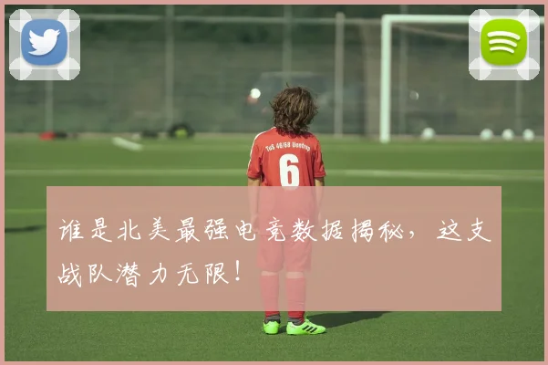 谁是北美最强电竞数据揭秘,这支战队潜力无限!