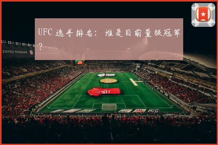 UFC 选手排名：谁是目前量级冠军？