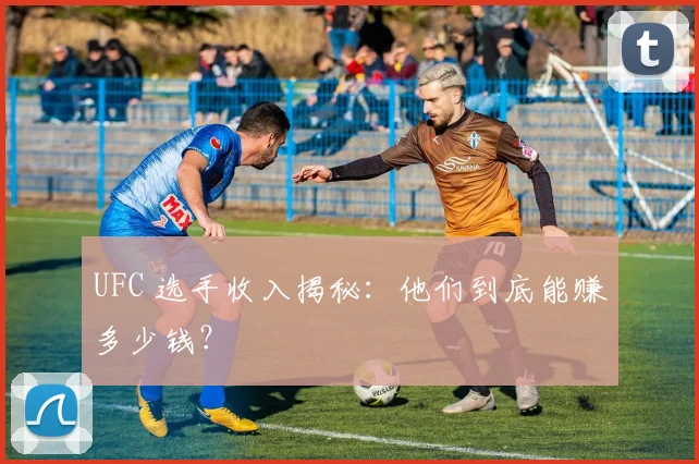 UFC 选手收入揭秘：他们到底能赚多少钱？