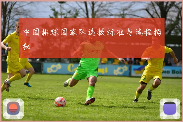 中国排球国家队选拔标准与流程揭秘