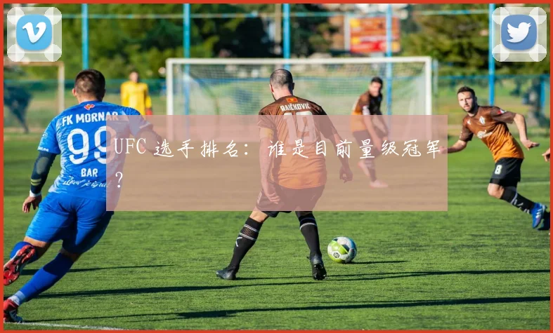 UFC 选手排名：谁是目前量级冠军？