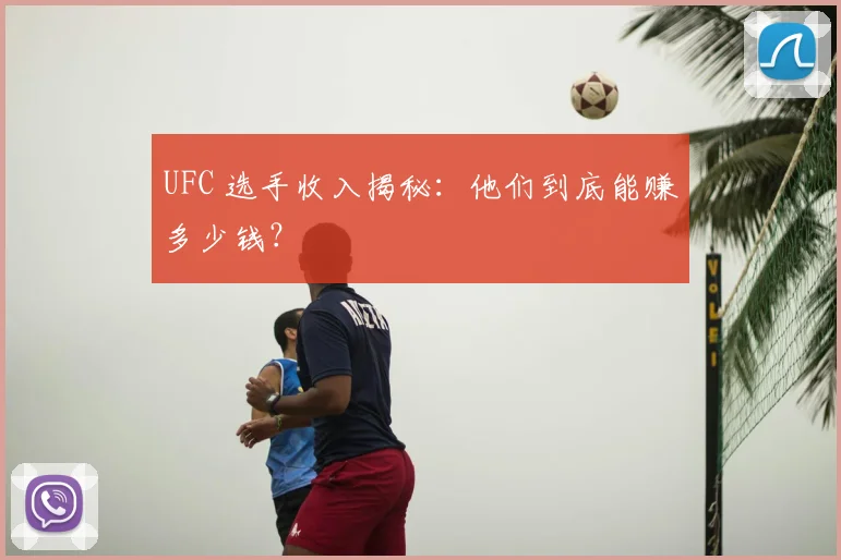 UFC 选手收入揭秘：他们到底能赚多少钱？